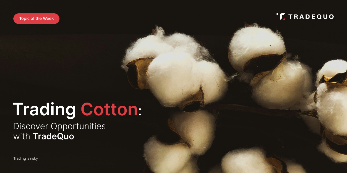 Trading Cotton: Discover Opportunities with TradeQuo
